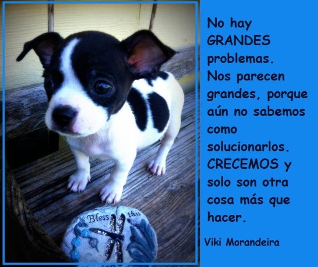 No hay problemas grandes. Hay gente pequeña. – Coaching para Protagonistas