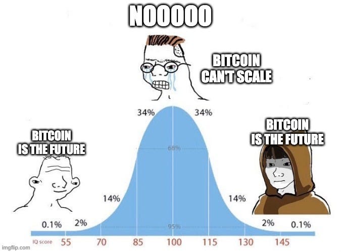 bell curve | NOOOOO; BITCOIN CAN'T SCALE; BITCOIN IS THE FUTURE; BITCOIN IS THE FUTURE | image tagged in bell curve | made w/ Imgflip meme maker