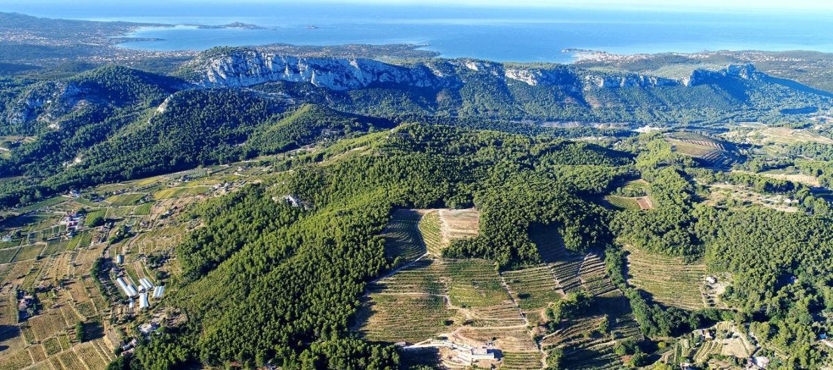 AOC Bandol Wines: passion and know-how • Bandol Tourism