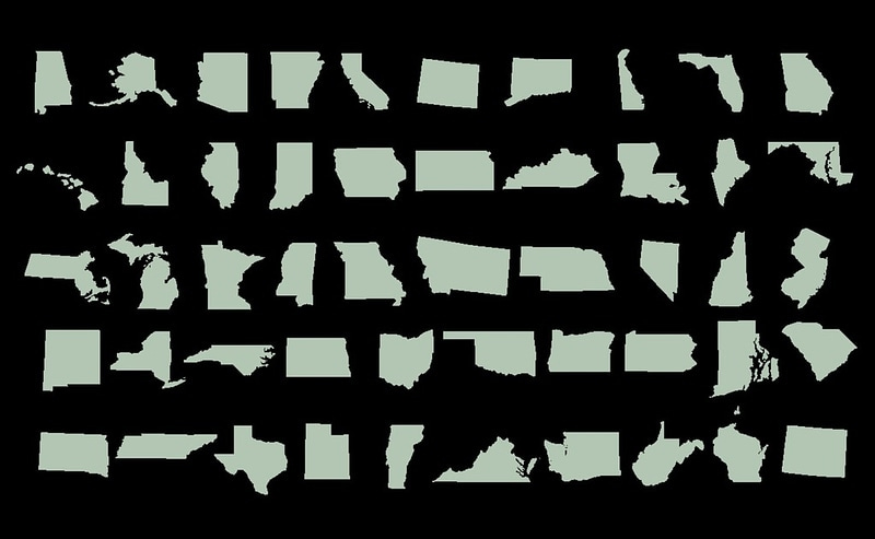 State Outlines - All 50 States - DXF files for laser cutting 3D Model