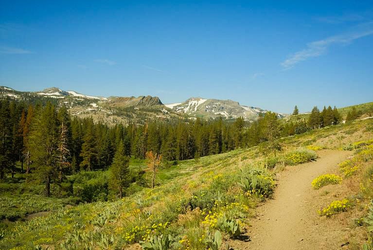 Un sendero que se dirige hacia unas montañas, en el Pacific Crest Trail