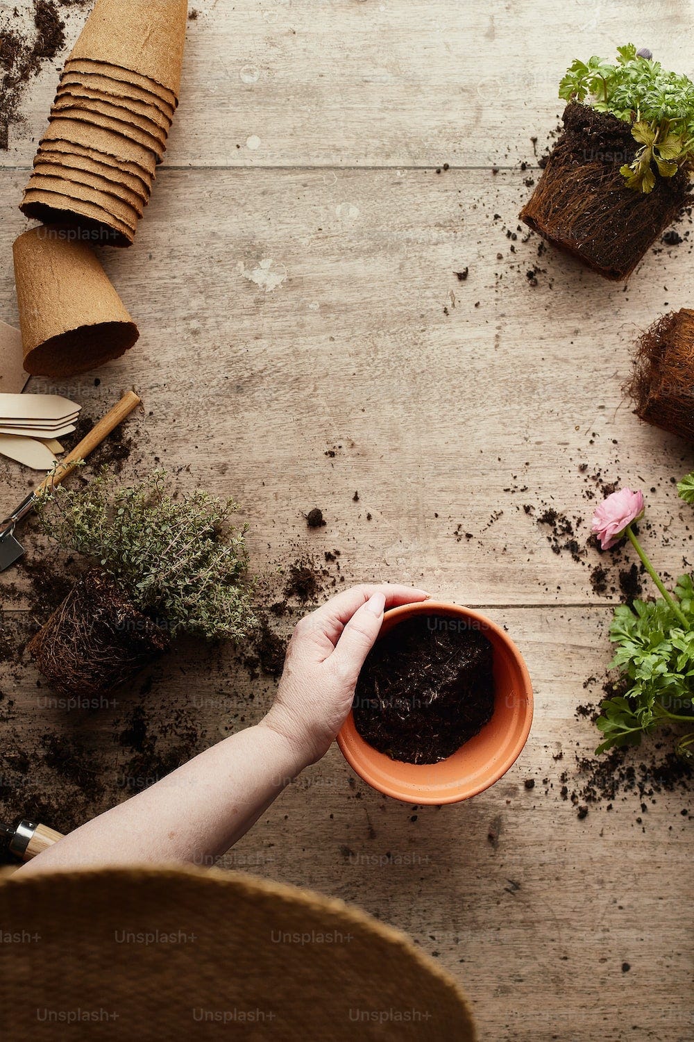 a person holding a bowl filled with dirt