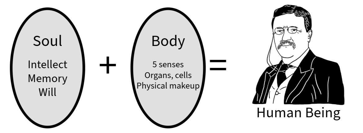 A diagram of a body

Description automatically generated