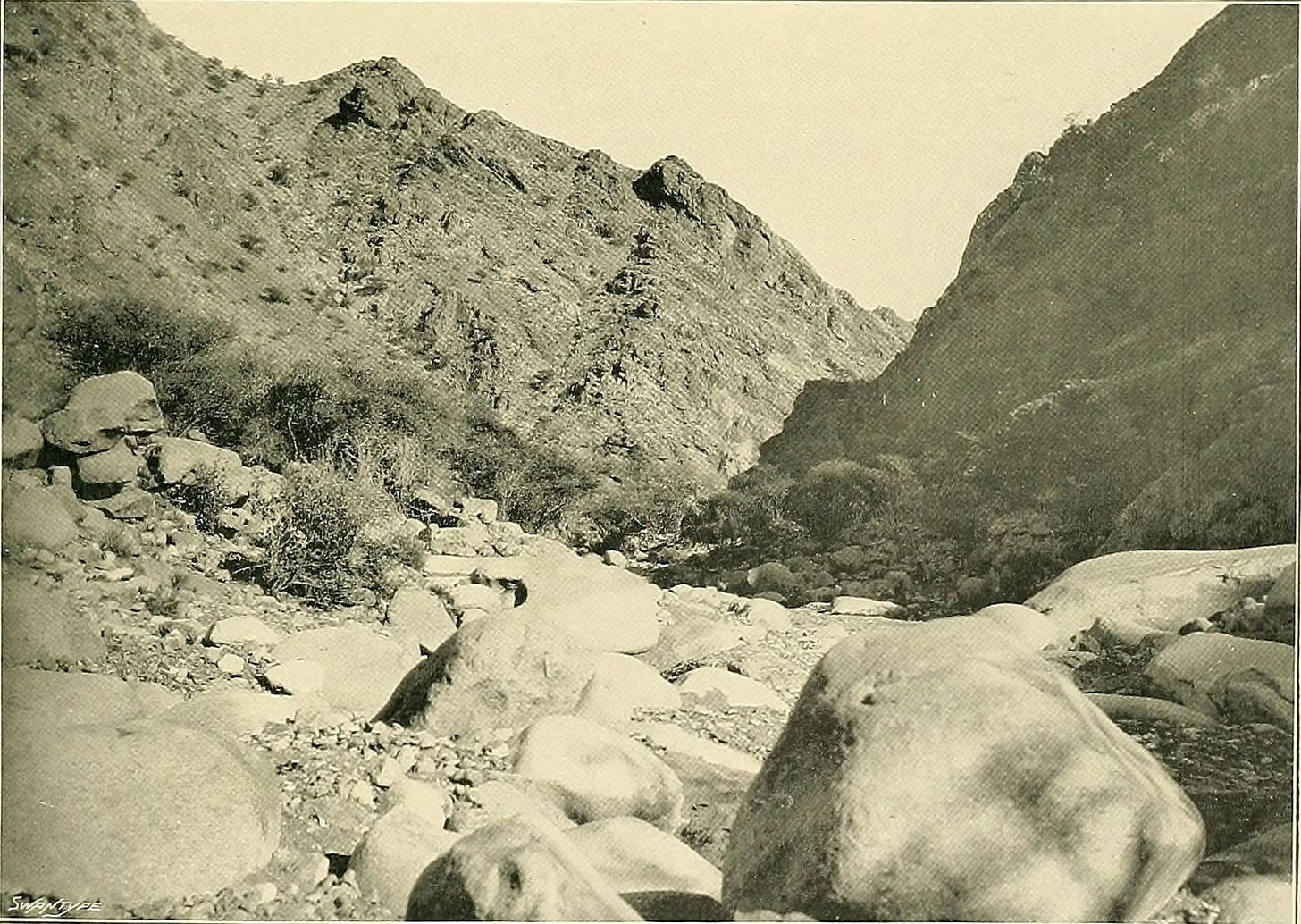 Black and white photo of an Egyptian desert wadi, or run with stones and brush