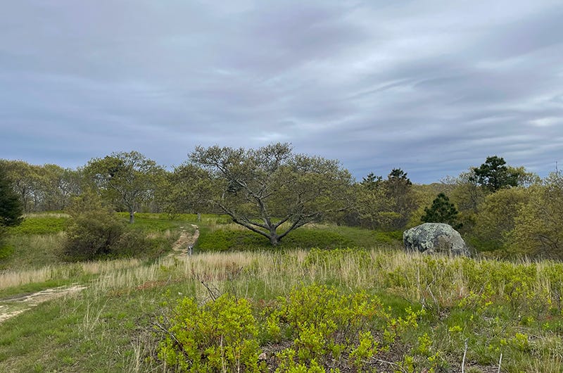 Waskosim's Reservation, Sixburnersue