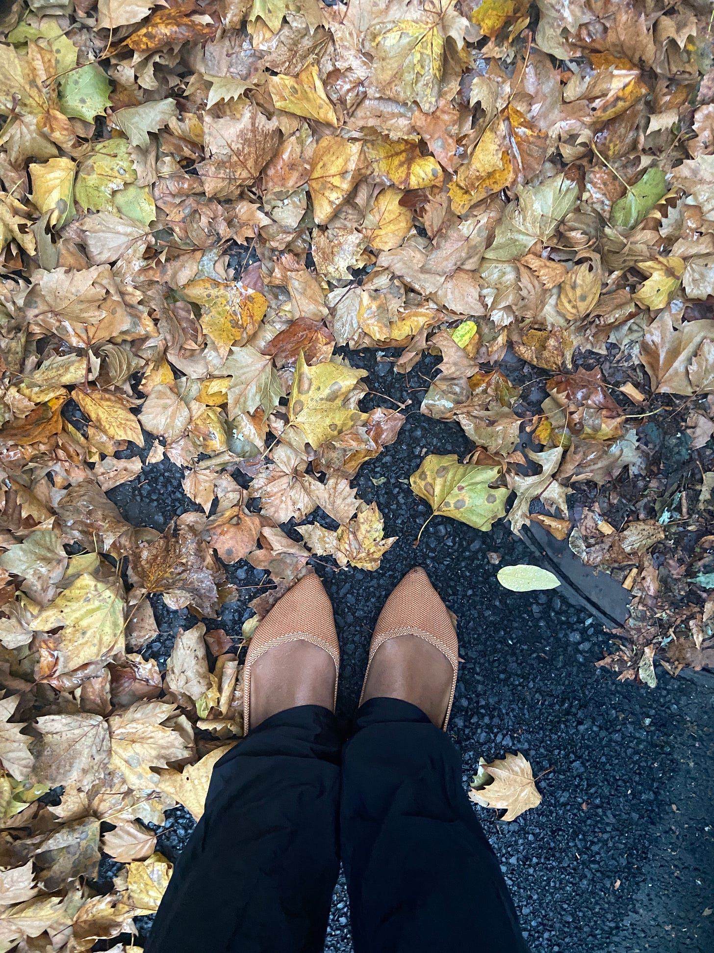   A patch of wet brown and yellow leaves cover almost all of the ground. Alexa is standing at the edge of the photo, and only her feet and calves are visible. She is wearing tan pointed flats (Rothys)  that almost match the color of the ground, and loose black pants.) 