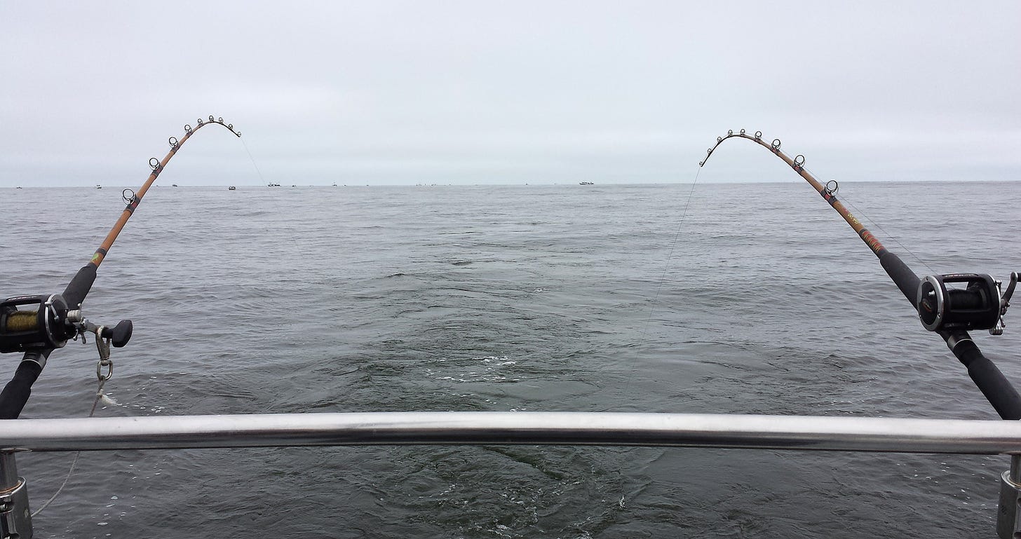 Trolling rods ready for a salmon in the North Pacific.