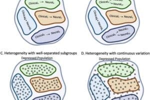 This image shows different ways scientists think about how depression symptoms relate to brain differences across people. In model A, each symptom is linked to a single, specific brain cause—like a one-to-one match. In model B, the same symptom could come from different brain causes—so many brain patterns might lead to the same kind of depression. These two ideas can both be true in different situations. For some groups of people, symptoms may clearly connect to specific brain patterns, while in others, the connections may be more mixed. In model C, people with depression may fall into clear groups based on their brain differences. In model D, differences may be more gradual, like points on a spectrum rather than separate categories.