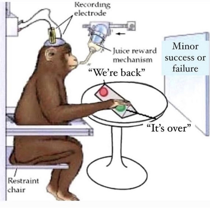 Restraint chair Recording electrode Juice reward mechanism "We're back" Minor success or failure "It's over"