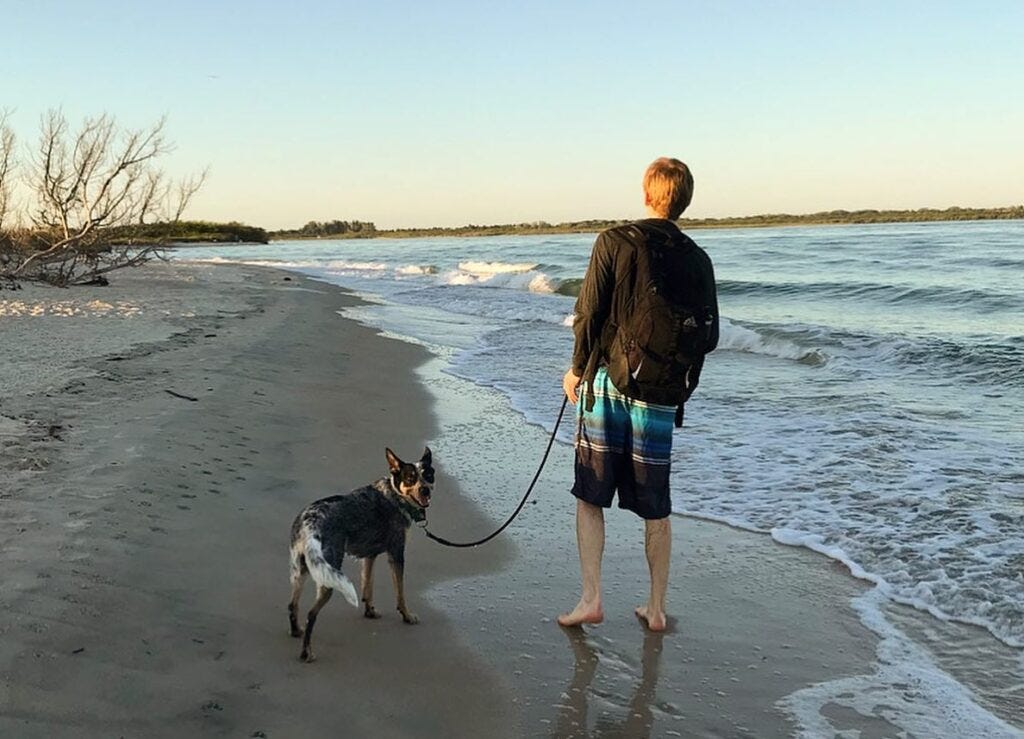 Scout the Australian cattle dog on a leash at Smyrna Dunes Park dog-friendly beach in Volusia county