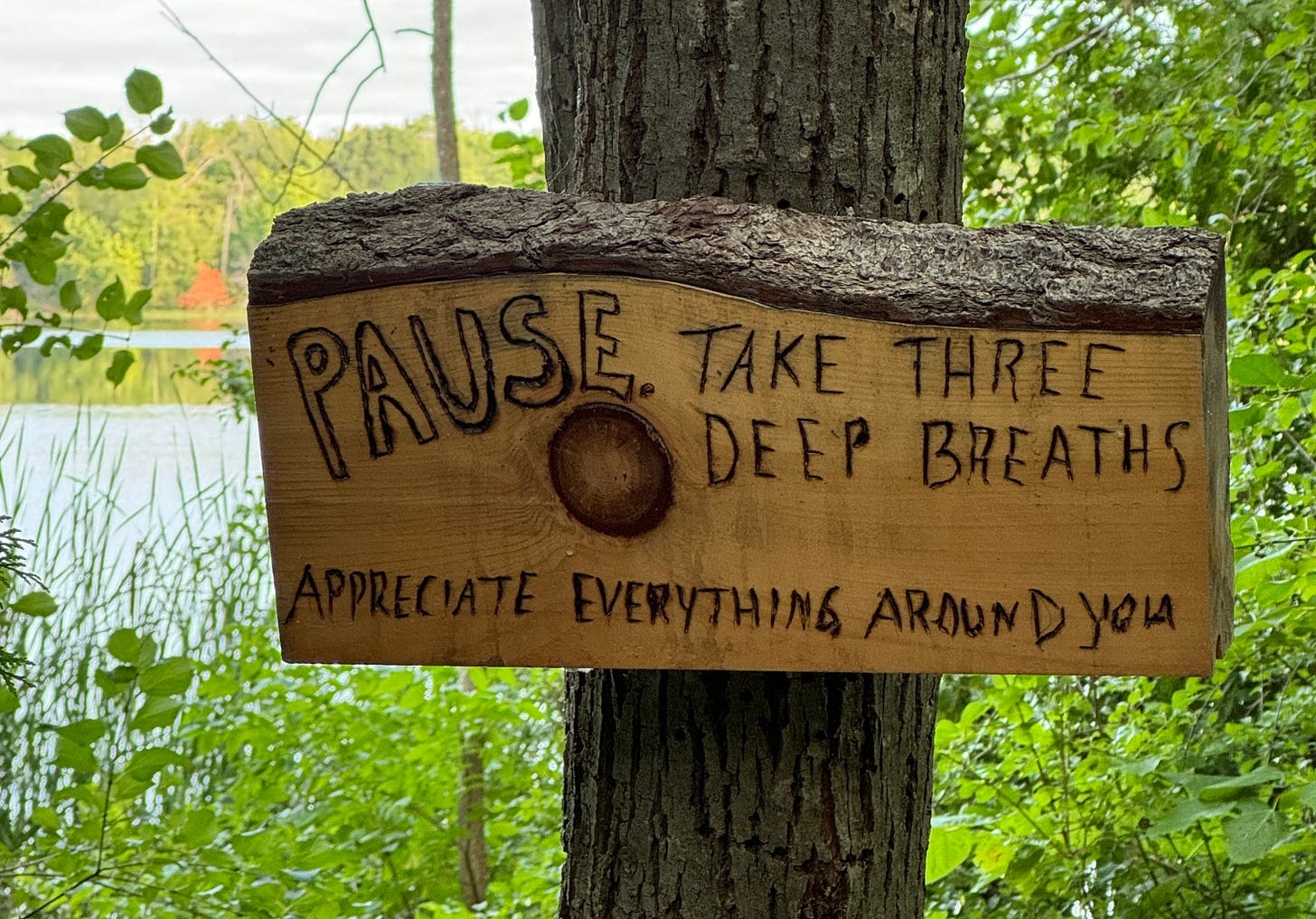 A wooden sign is attached to a tree trunk. The sign reads: "PAUSE. Take three deep breaths. Appreciate everything around you." The background features a forested area with greenery and a body of water.