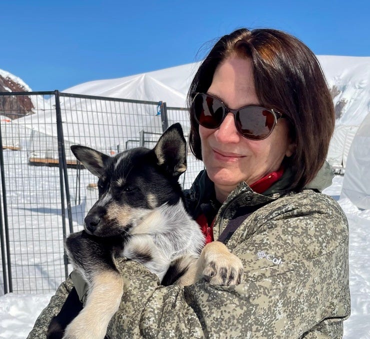 Husky puppies on a glacier: I mean, come on!