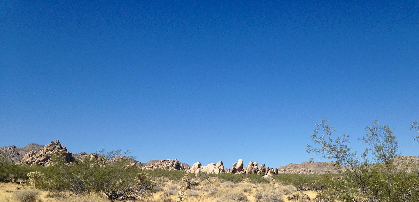 Sherry Killam photo of desert scene with rocky outcroppings and bushes against a clear blue sky.