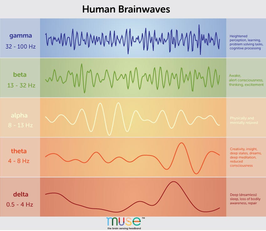 Understanding Brainwaves and Frequencies: A Comprehensive Guide | Muse™  EEG-Powered Meditation & Sleep Headband