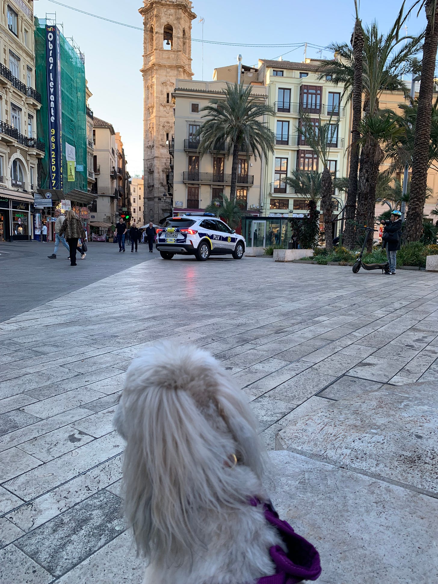 Elsa has her back to the camera as she watches the people walking by at the edge of the Plaza