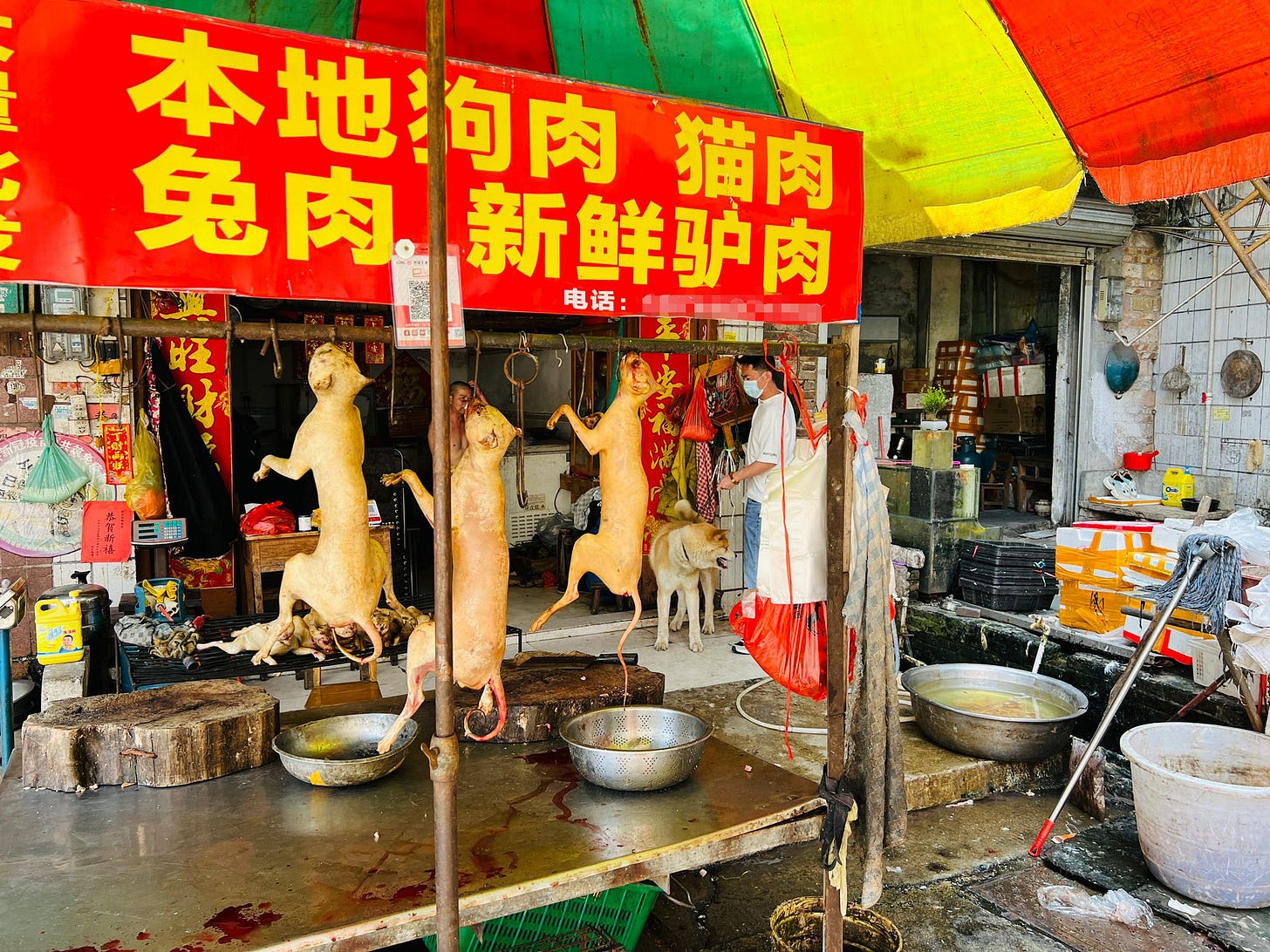 Perros listos para ser cocinados y consumidos en el festival de Yulin.