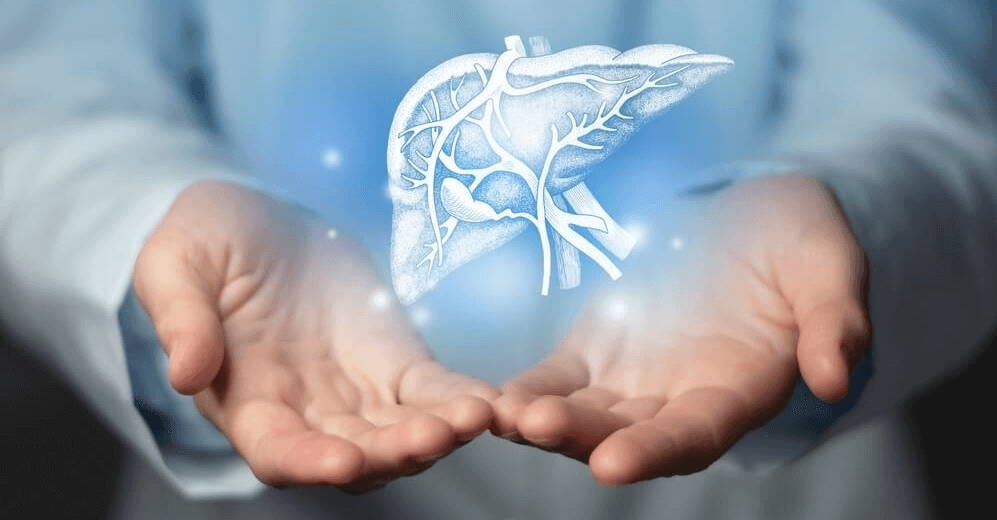 TUDCA for liver health TUDCA для здоровья печени
