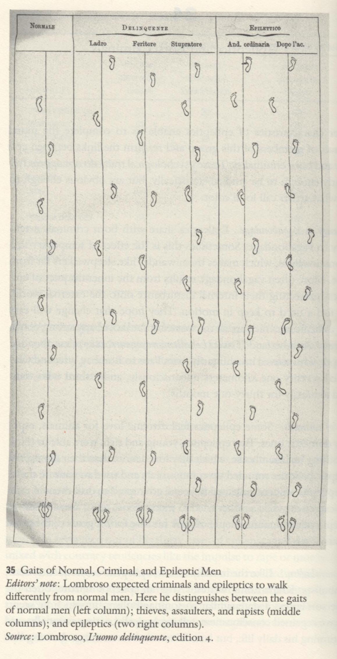 35 Gaits of Normal, Criminal, and Epileptic Men Editors' note: Lombroso expected criminals and epileptics to walk differently from normal men. Here he distinguishes between the gaits of normal men (left column); thieves, assaulters, and rapists (middle columns); and epileptics (two right columns). Source: Lombroso, L'vomo delinquente, edition 4.