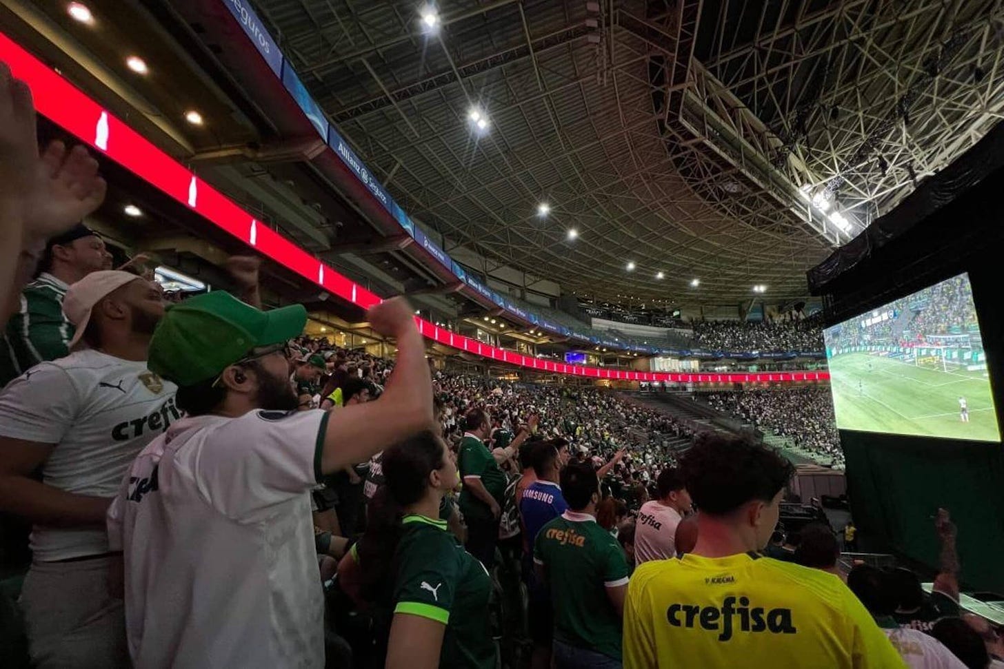 Palmeiras supporters have pitch view blocked by big screen