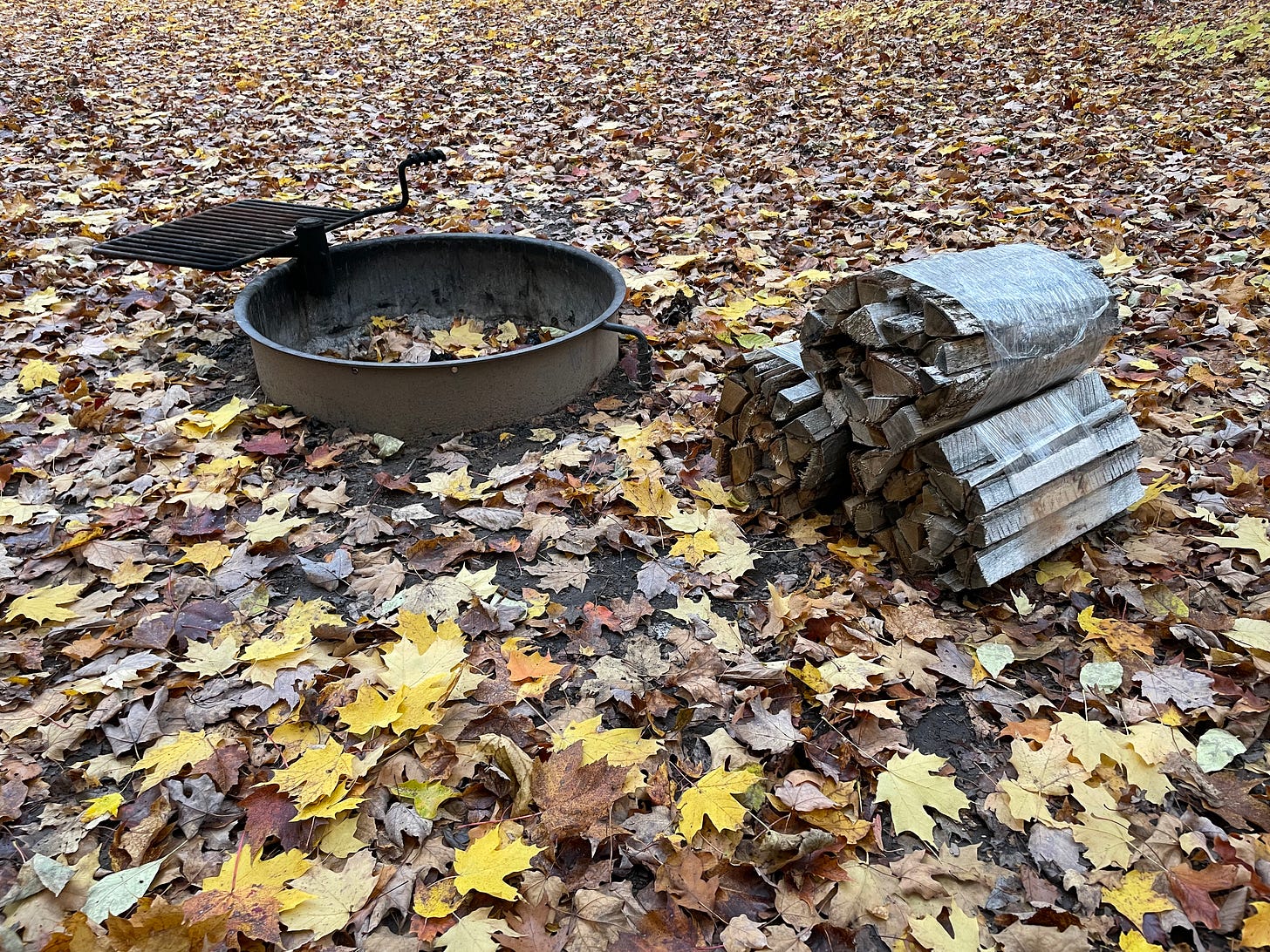 A fire ring and a stack of firewood surrounded by leaves on the ground.