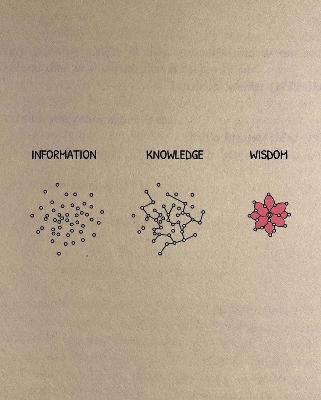 Diagram showing the transformation from Information to Knowledge to Wisdom