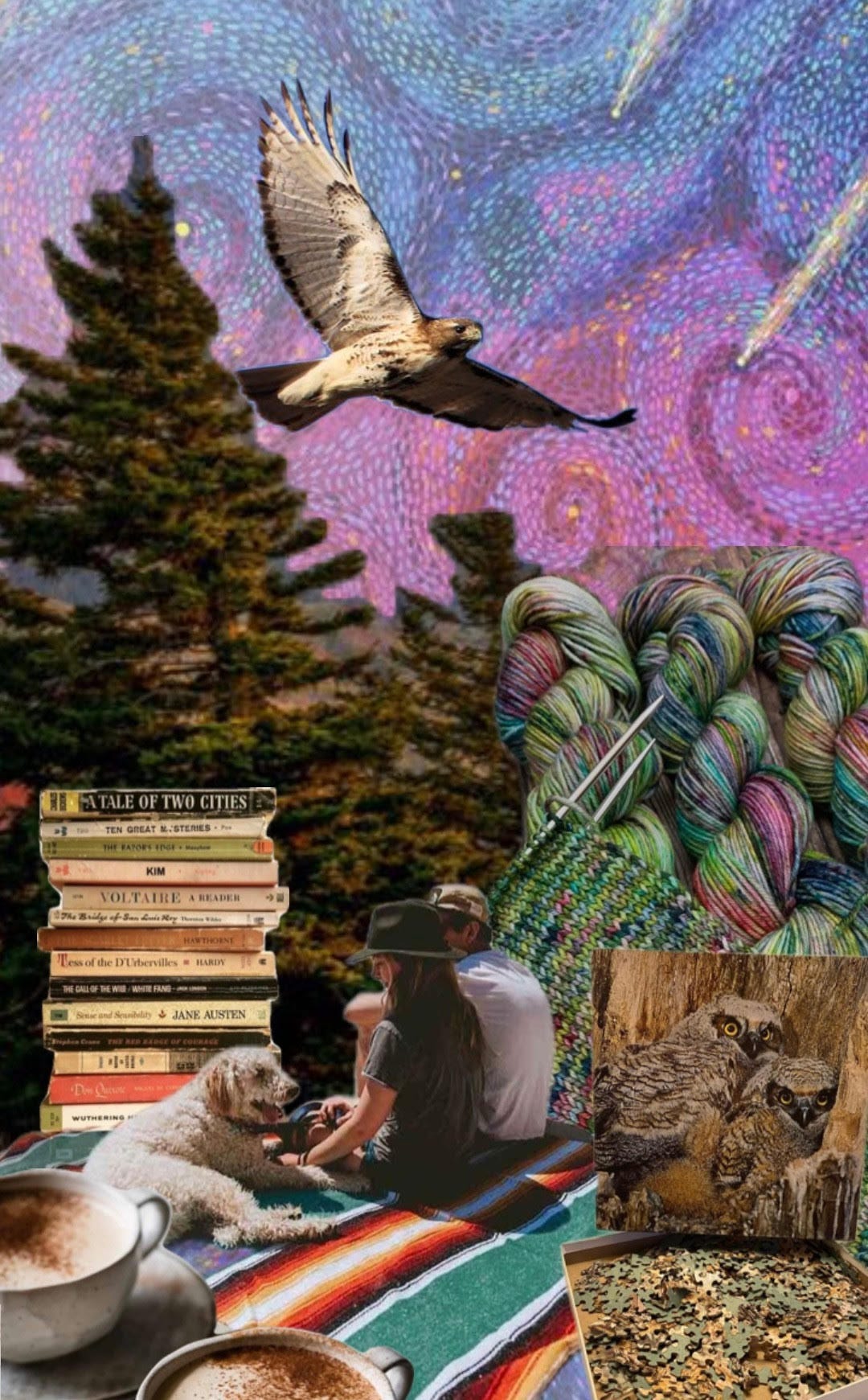 image of hawk, owls, sky, stack of books, two people with a dog