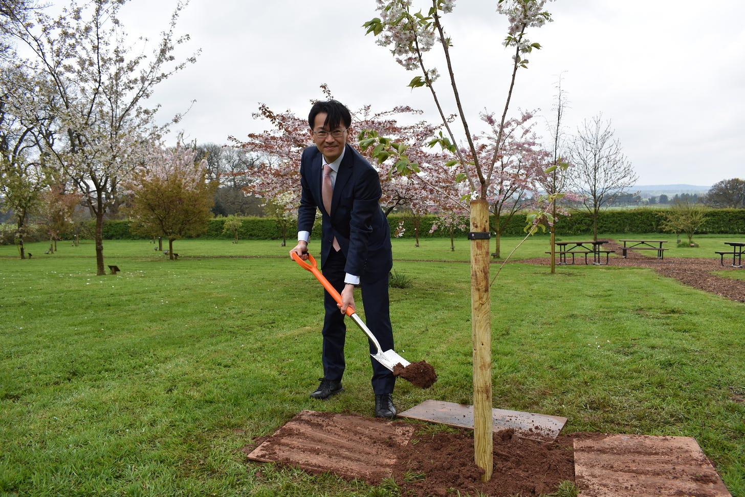 Japanese Embassy official planting a cherry tree at Keele University