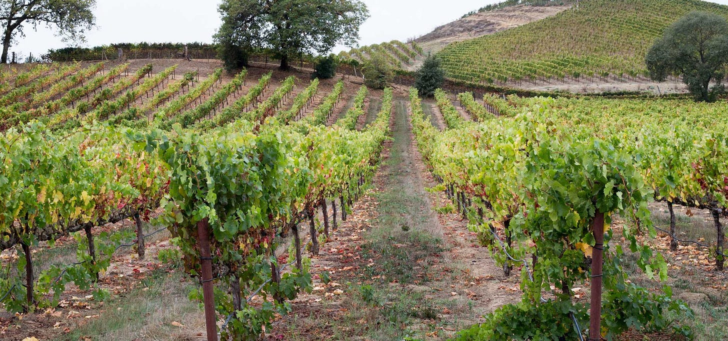 WineCountry Media | Julia Ogrydziak