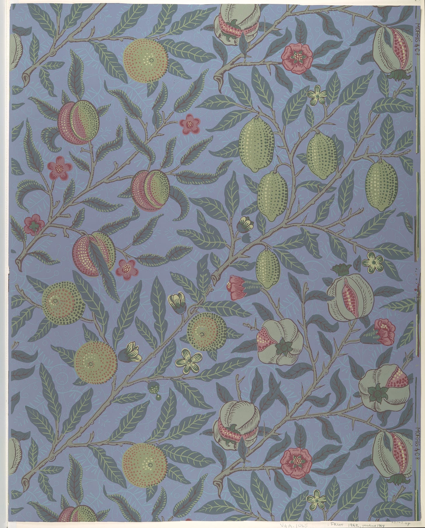 Fruit (or Pomegranate), William Morris (British, Walthamstow, London 1834–1896 Hammersmith, London), Block-printed in distemper colors