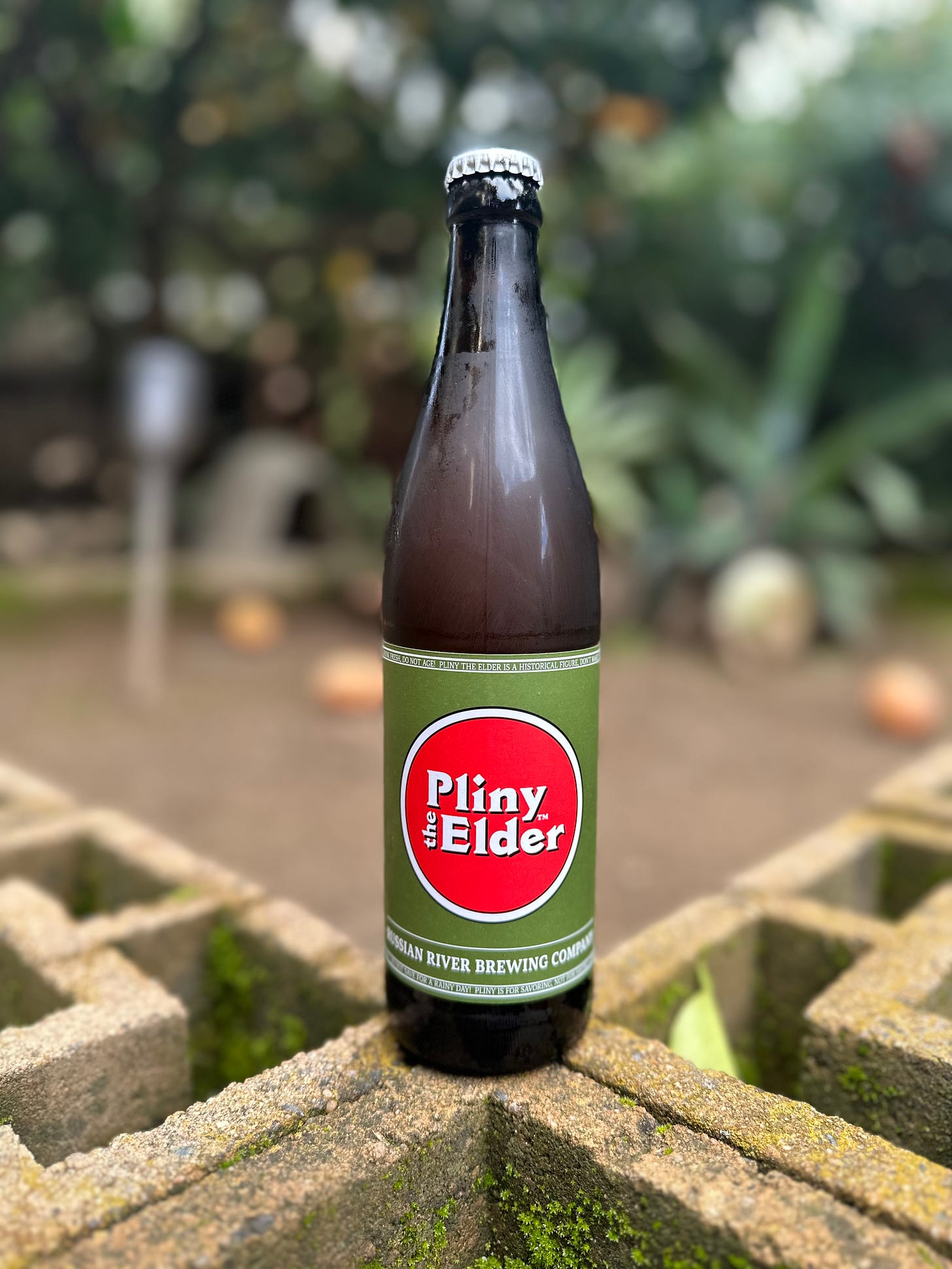 A bottle of Pliny The Elder IPA from Russian River Brewing
