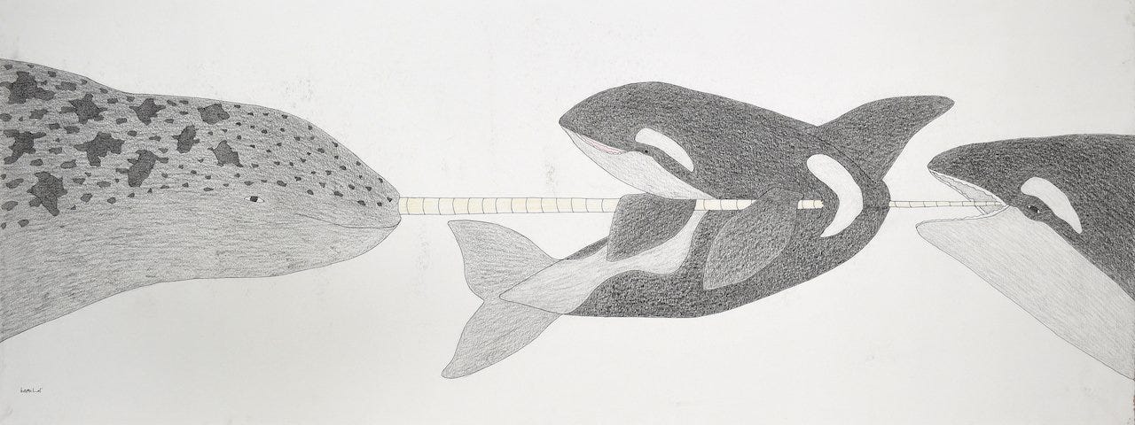  Untitled (Narwhal and Orcas)	 19.5 x 50 Coloured Pencil, Ink	 #072-2975 $ 3650 