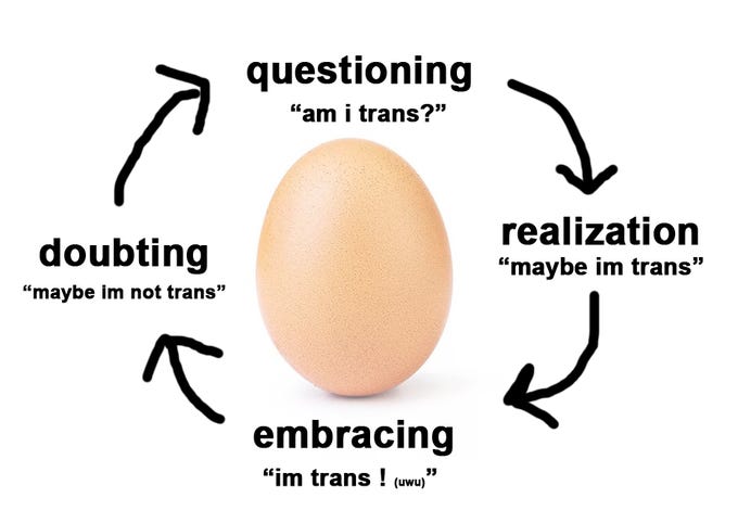confused egg noises | Egg (Transgender) | Know Your Meme