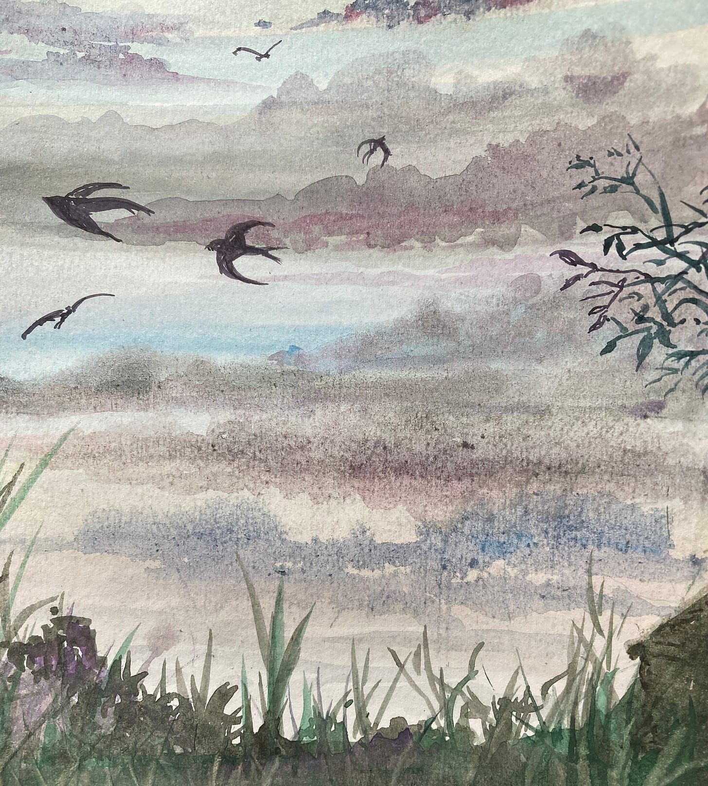 Watercolour of swifts at twilight
