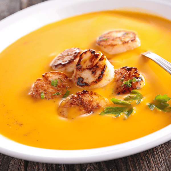 A wonderful orange-yellow coloured carrot soup with 5 seared scallops and a green garnish in a white bowl on a harvest table.