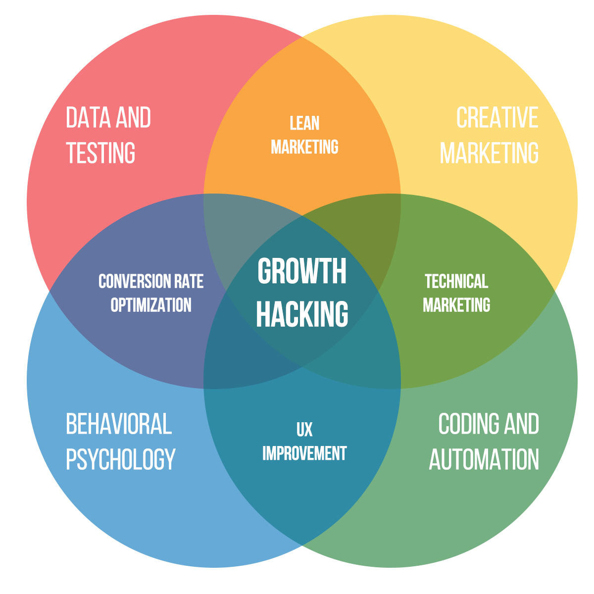 Growth Hacking Consultant Services