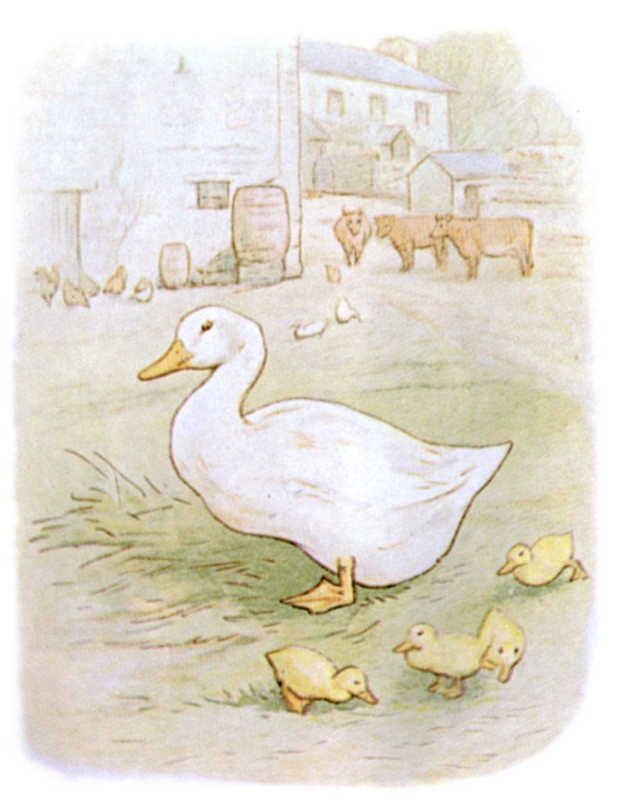 free public domain vintage illustration of ducks 5 beatrix potter - Free  Vintage Illustrations | Beatrix potter illustrations, Vintage illustration,  Animal illustration