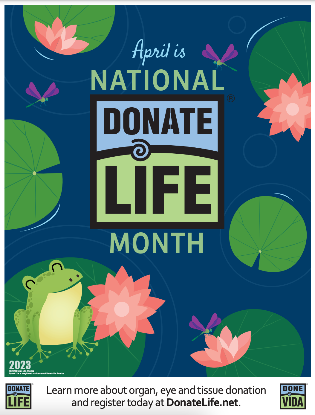 A flyer for National Donate Life organ and tissue donation.