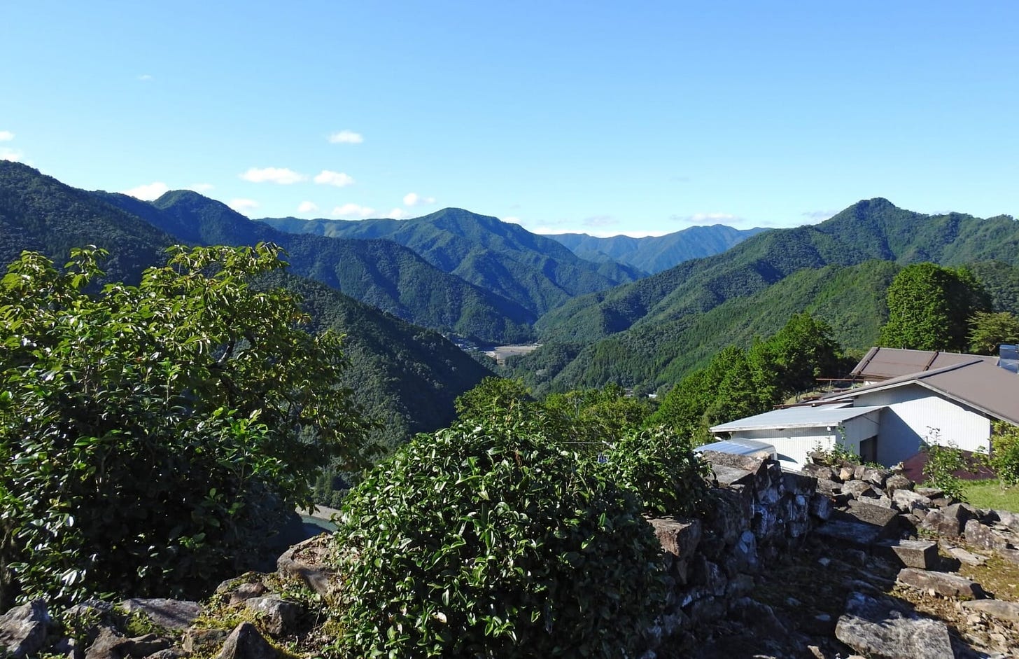 Kumano Kodo Kohechi