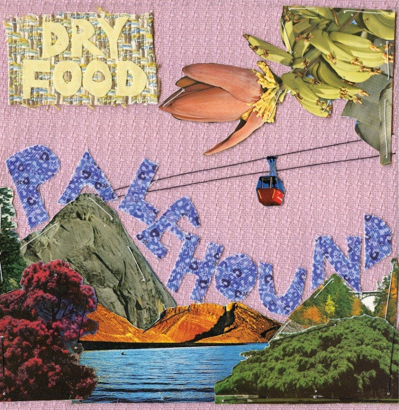 Palehound: Dry Food Album Review | Pitchfork