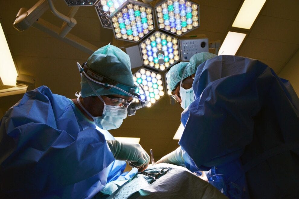 US surgeons report longest successful pig-to-human kidney transplant