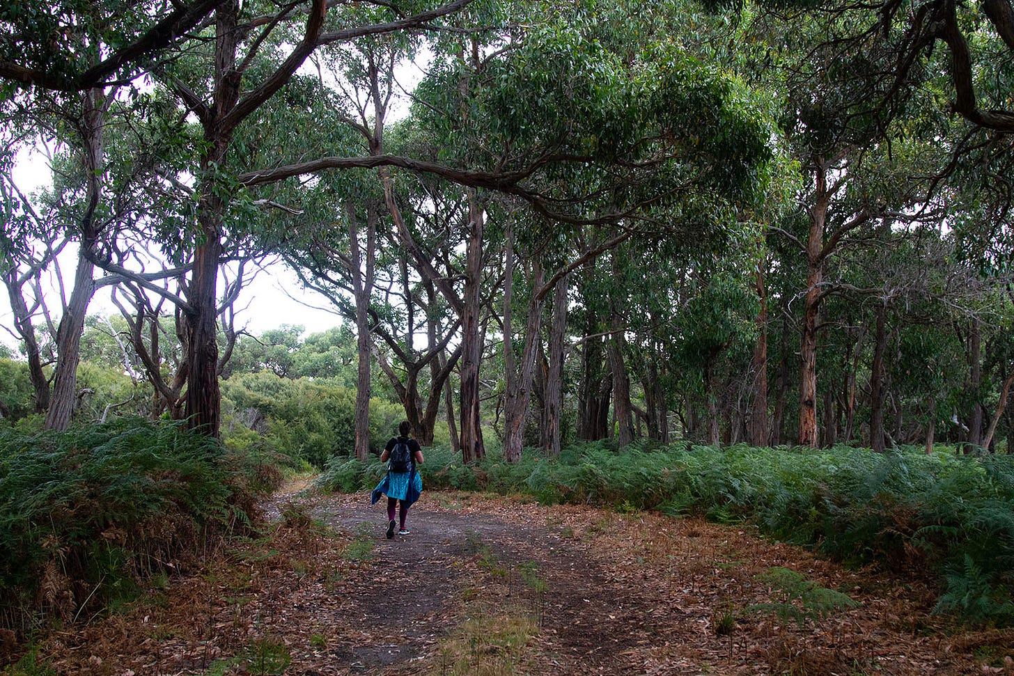 A woman walks along a bushpath, with a backpack.