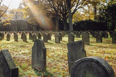 Sunlight on graveyard - free photo on Barnimages