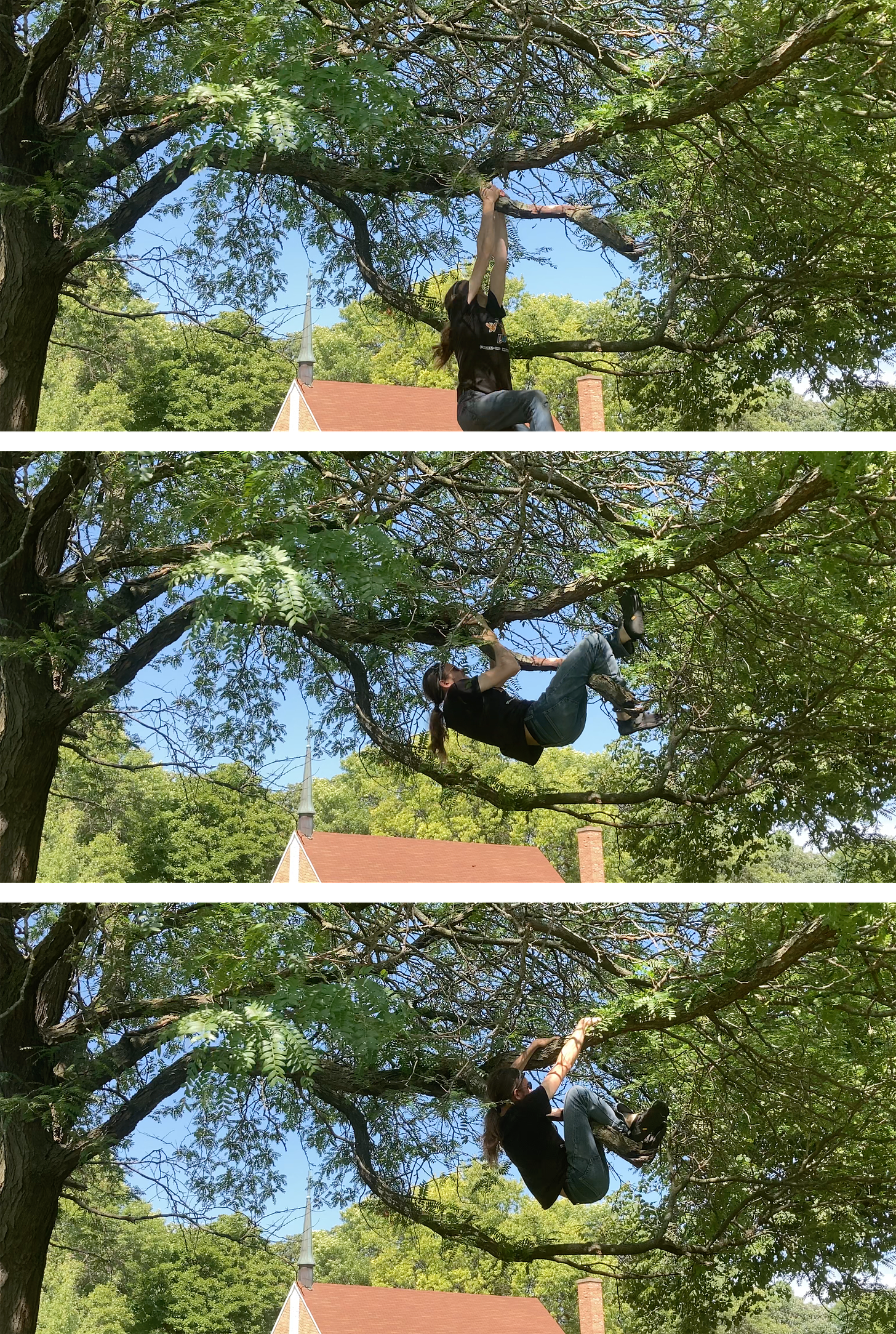 Three photos of the author pulling themselves up a tree branch.