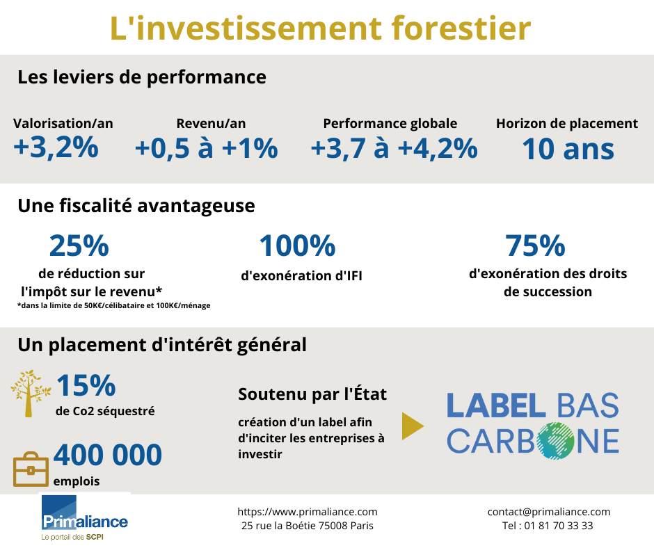 Investir dans la forêt : une bonne idée ? - Primaliance