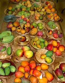 Selection of Fruit at Fruit and Spice Park