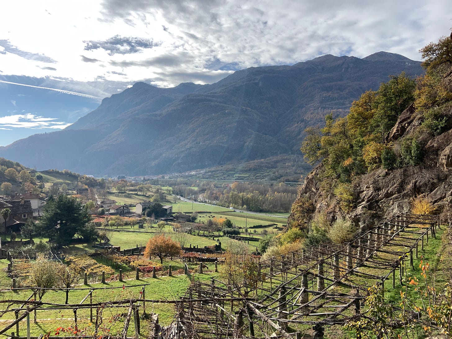 Visiting Italy also means discovering its wines. Thanks to the climatic conditions that allow the growth of vines and a particular richness and variety of soils, Italy boasts a great wealth of wines.