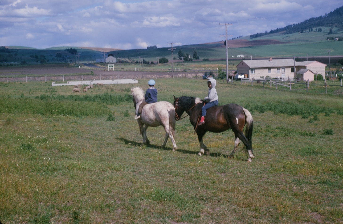 two children on horses riding through a pasture