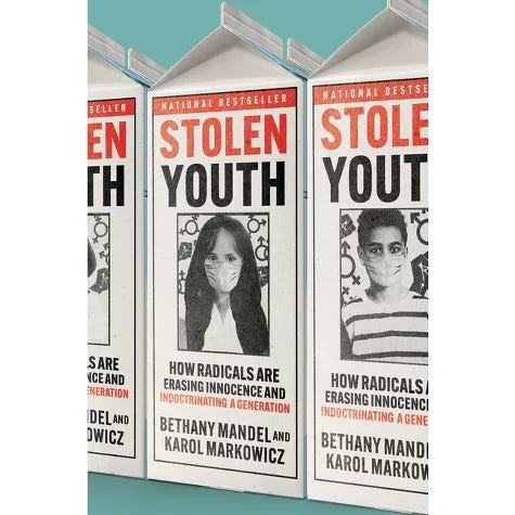 Stolen Youth - by  Karol Markowicz & Bethany Mandel (Hardcover), image 1 of 2 slides
