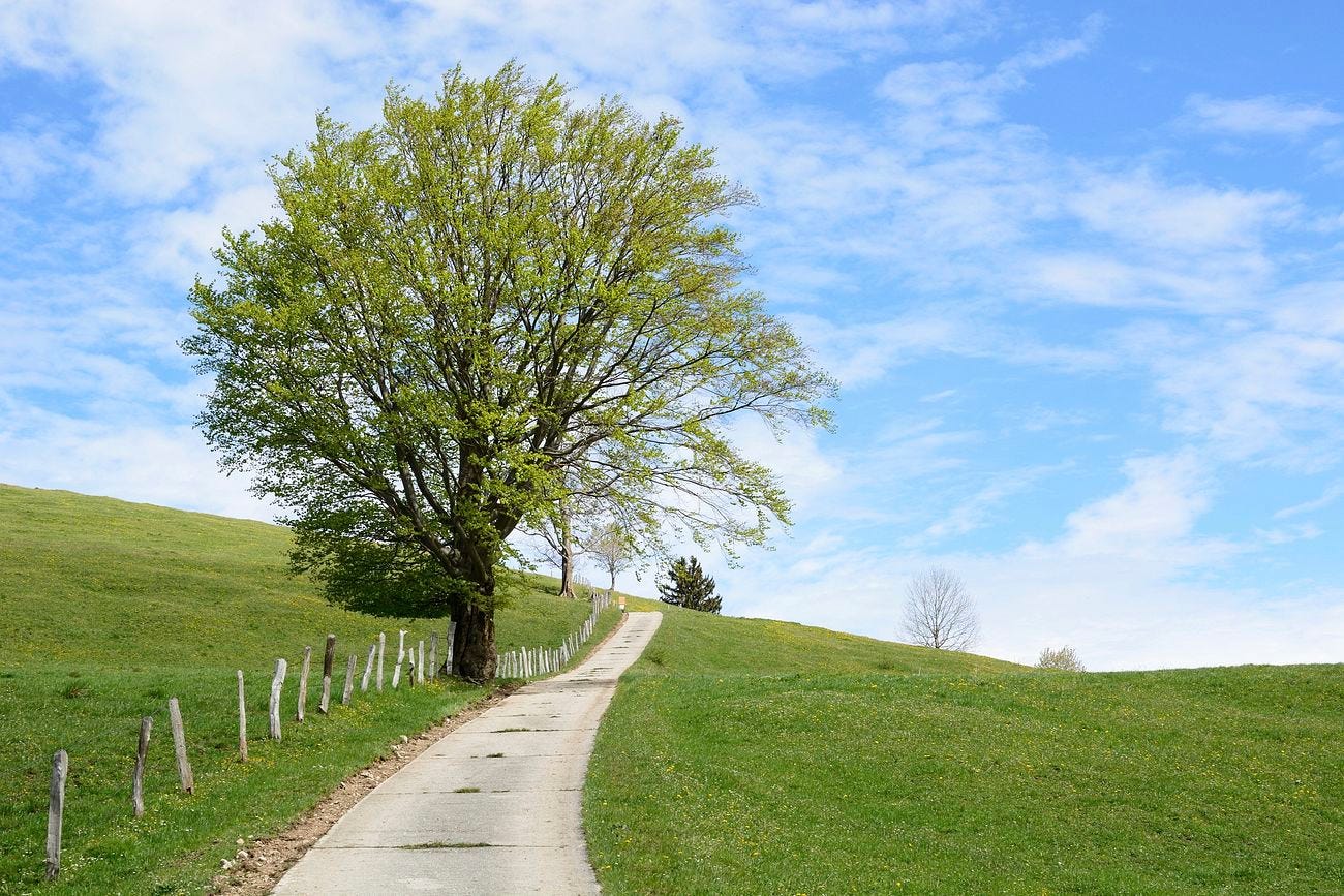 camino, naturaleza y ambiente