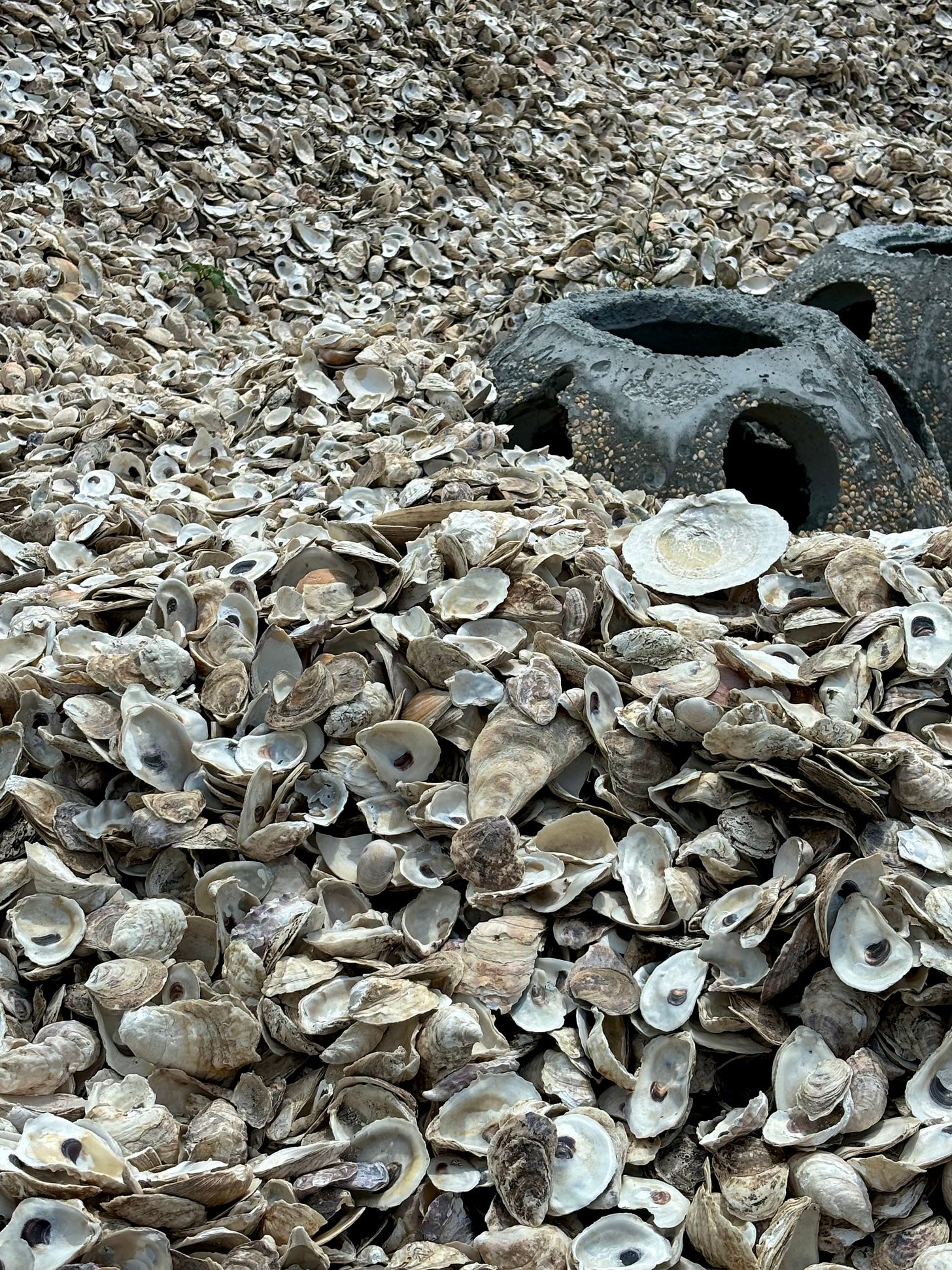 A massive pile of shells, with two dome shapes that will explained later in the lower right corner.